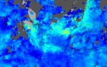Carbon Monoxide over Indonesia