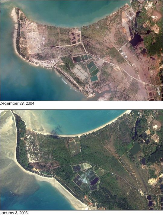 特撮 TSUNAMI Earthquake Spawns Tsunamis - NASA Science