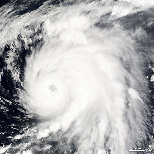 Typhoon Nesat