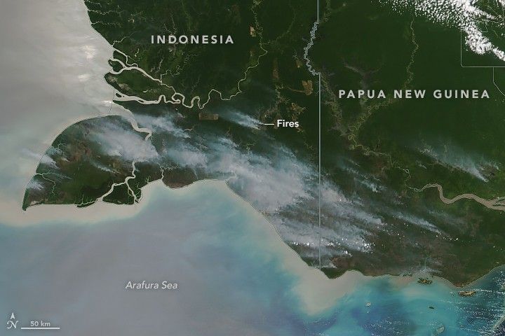 Increased Fire Activity in New Guinea