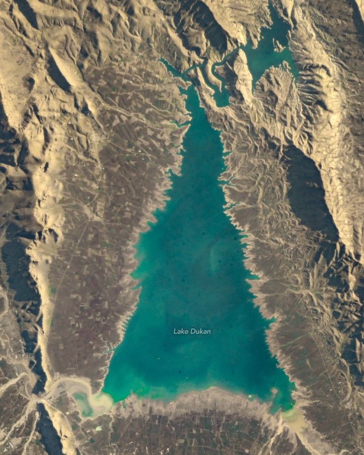 O Christmas Tree! from Space