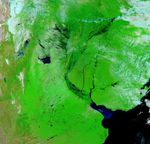 Floods Soak Argentine Farmland