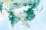 China and India Lead the Way in Greening