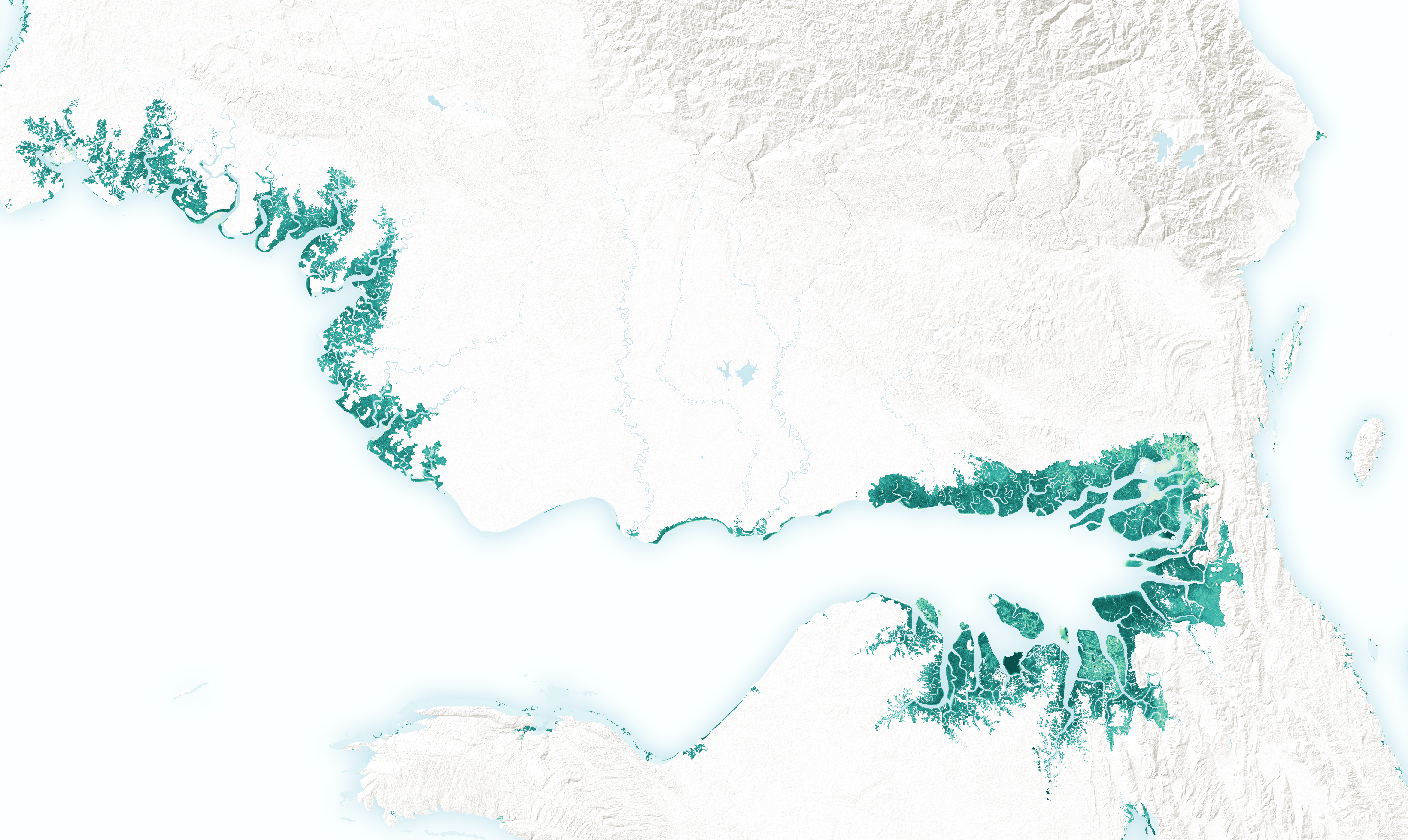 New Satellite-Based Maps of Mangrove Heights - related image preview
