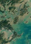 Seaweed and Fish World