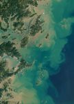Seaweed and Fish World