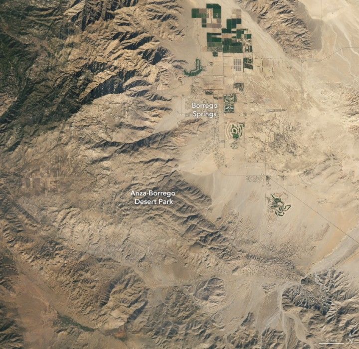 Wildflower Super Bloom Returns to California