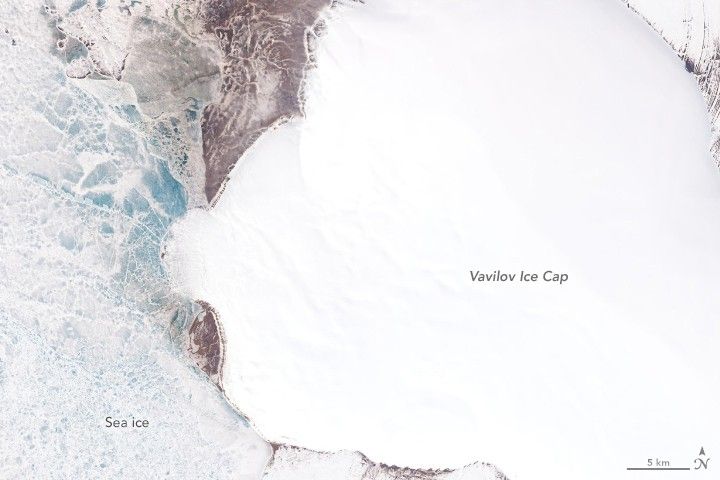 A Surprising Surge at Vavilov Ice Cap