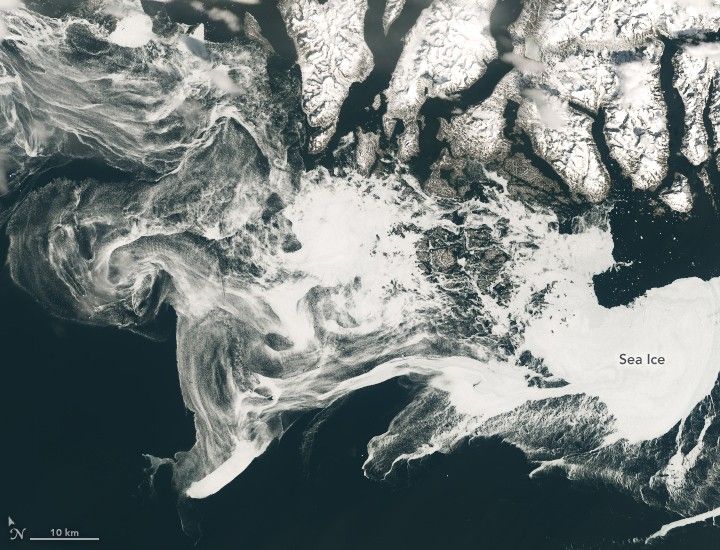 Spring Freeze in the Labrador Sea - NASA Science