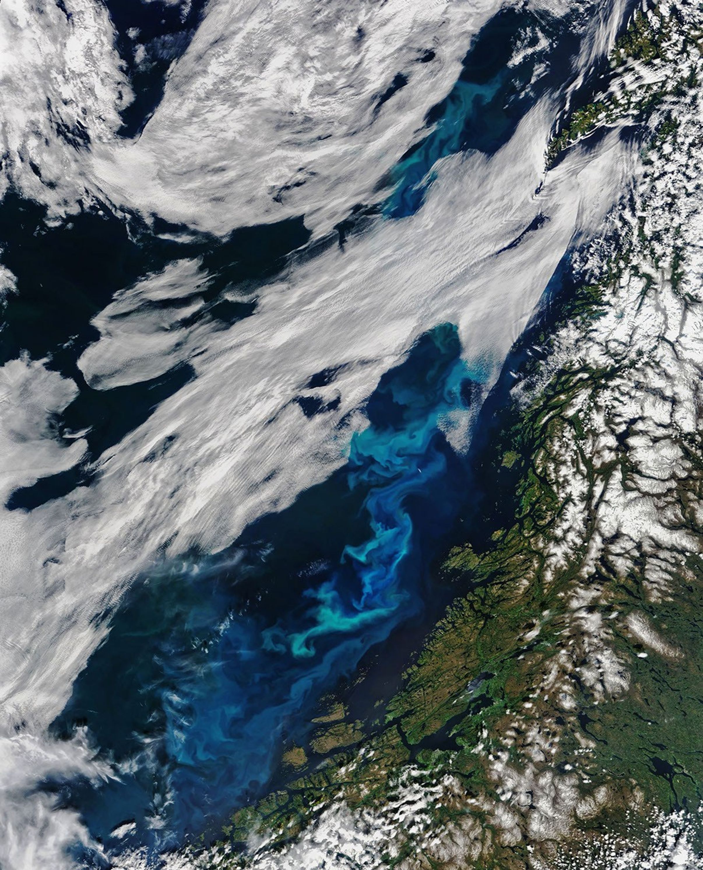 Beauty and a Burden in the Norwegian Sea