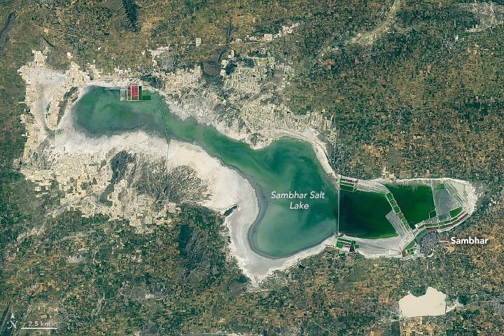 Lake Sambhar