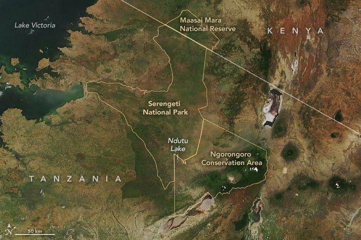 Circling the Serengeti