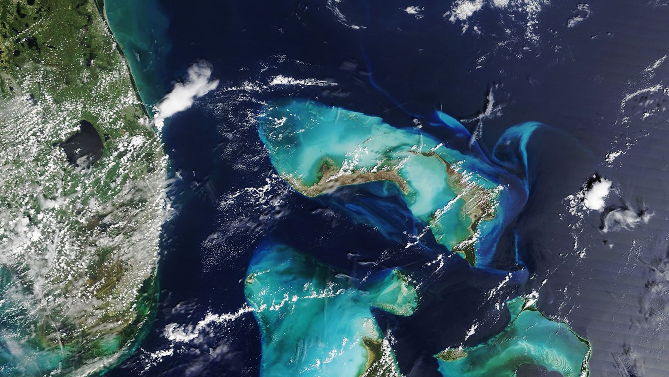 In the Wake of Hurricane Dorian