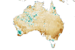 Drought Exacerbates Australian Fires - related image preview
