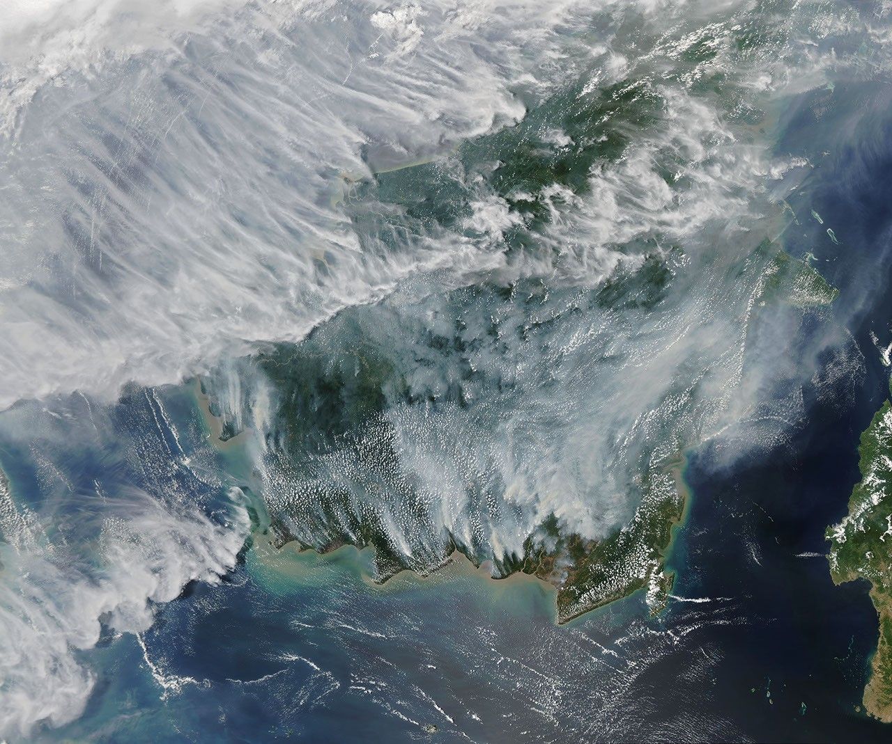 Smoke Blankets Borneo
