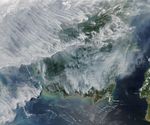 Smoke Blankets Borneo