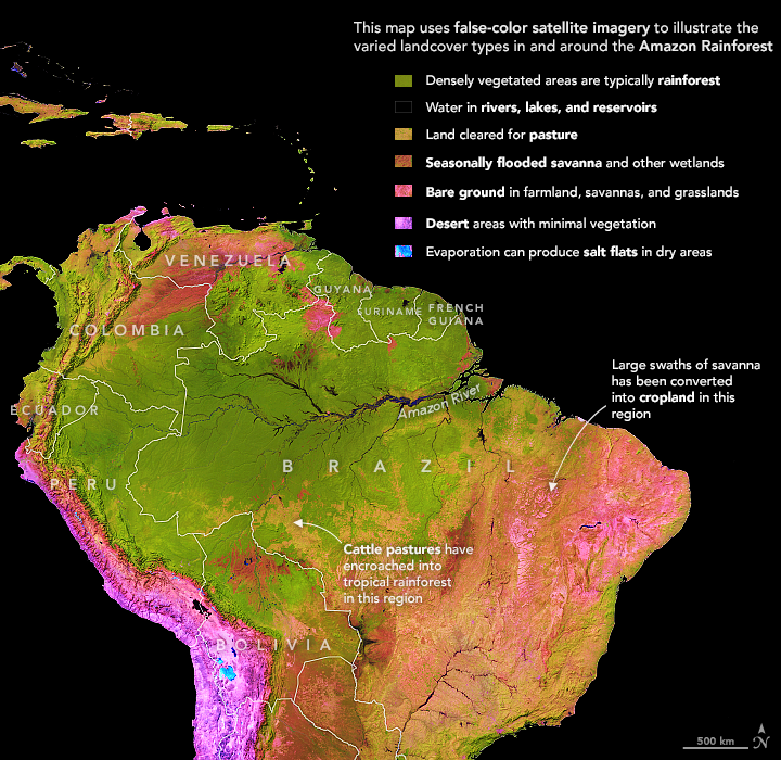 Mapping the Amazon