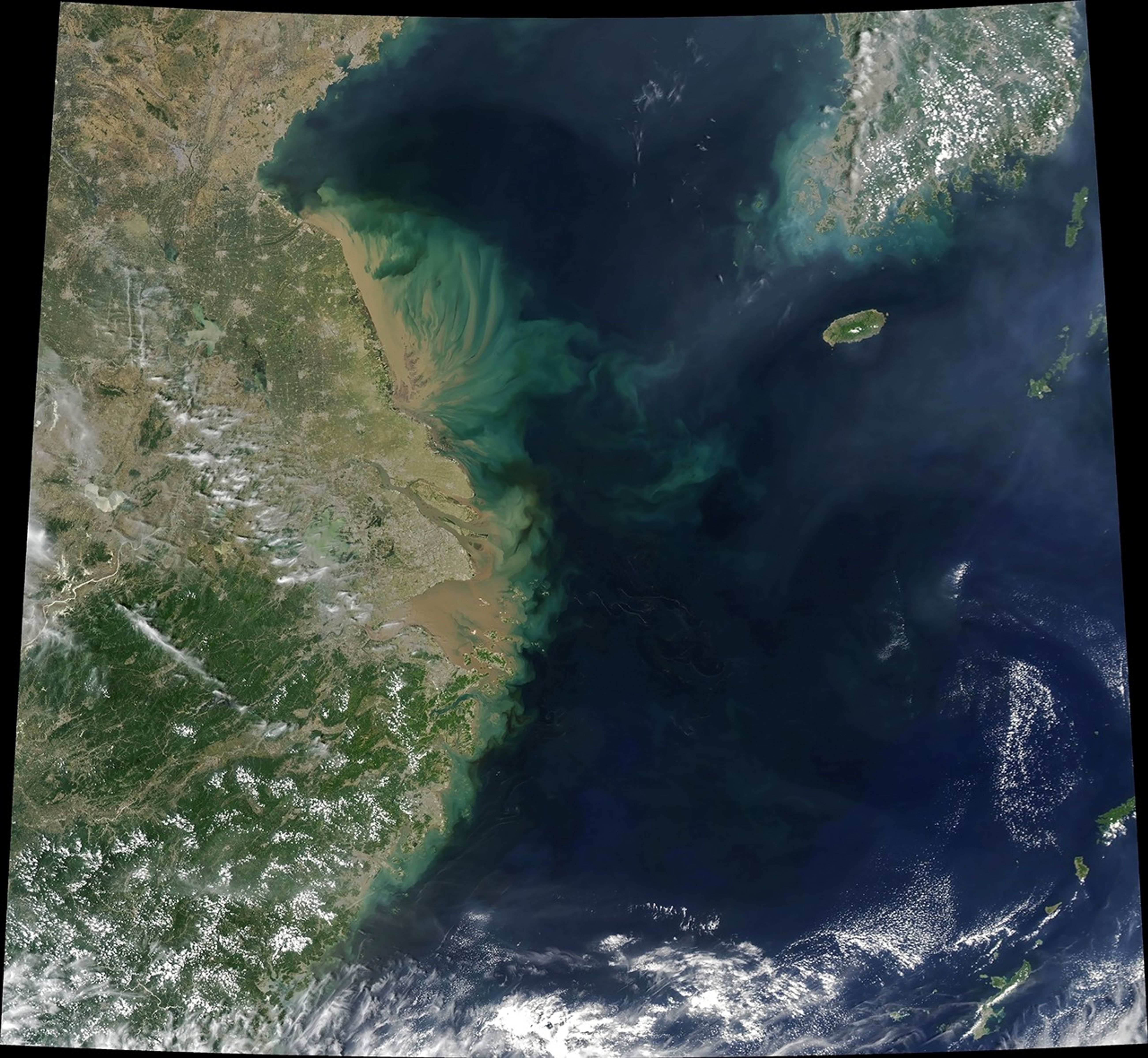 Tracking “Blue Tear” Blooms