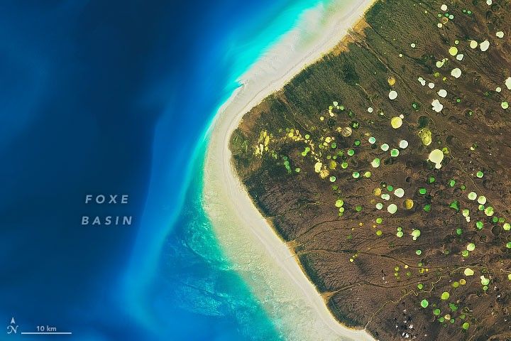 Where the Geese Gather