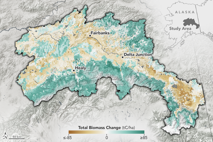 Warmer, Drier Climate Could Transform Alaskan Forests