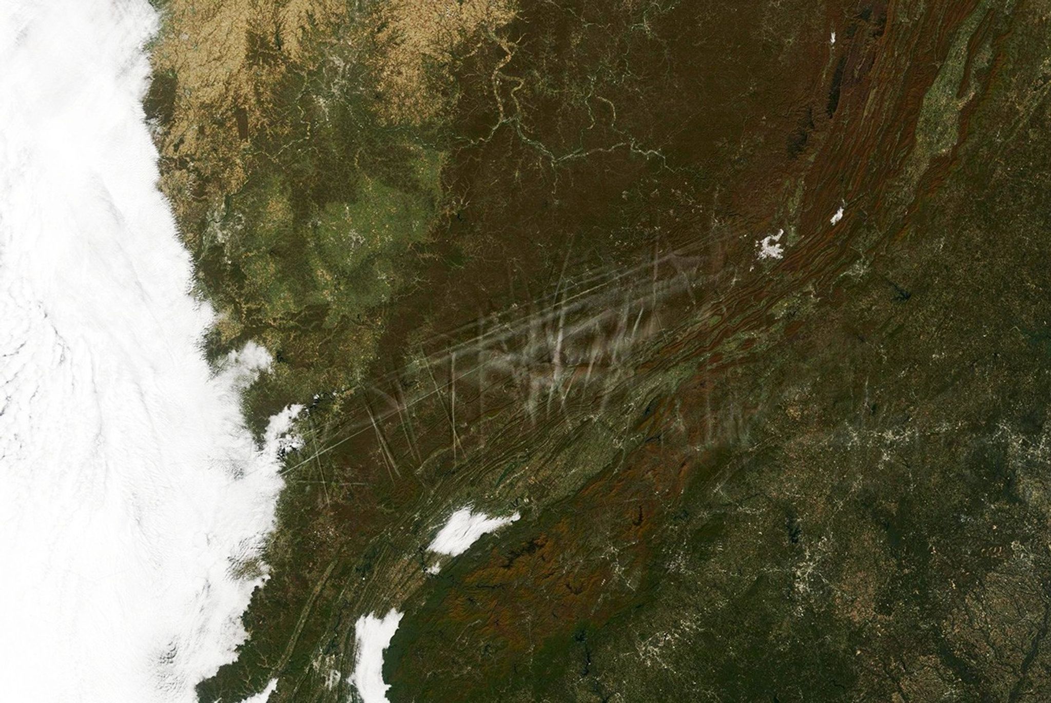 Before the Leaves Fall NASA Science