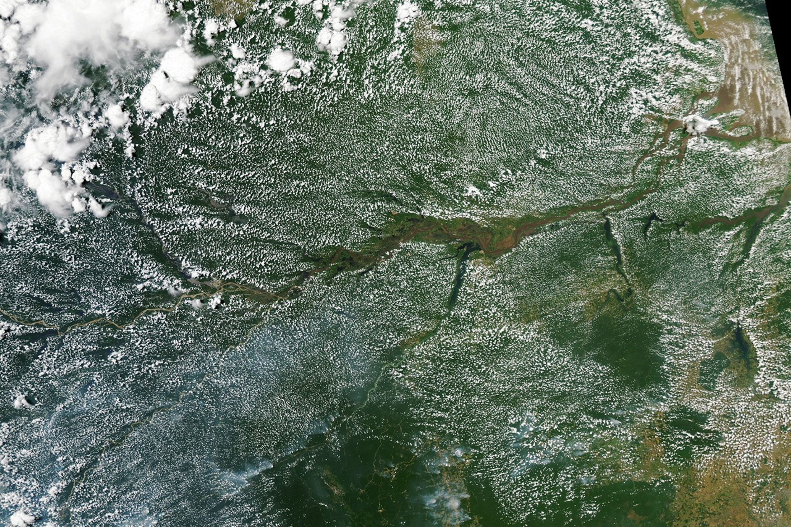 Human Activities Are Drying Out the Amazon - related image preview