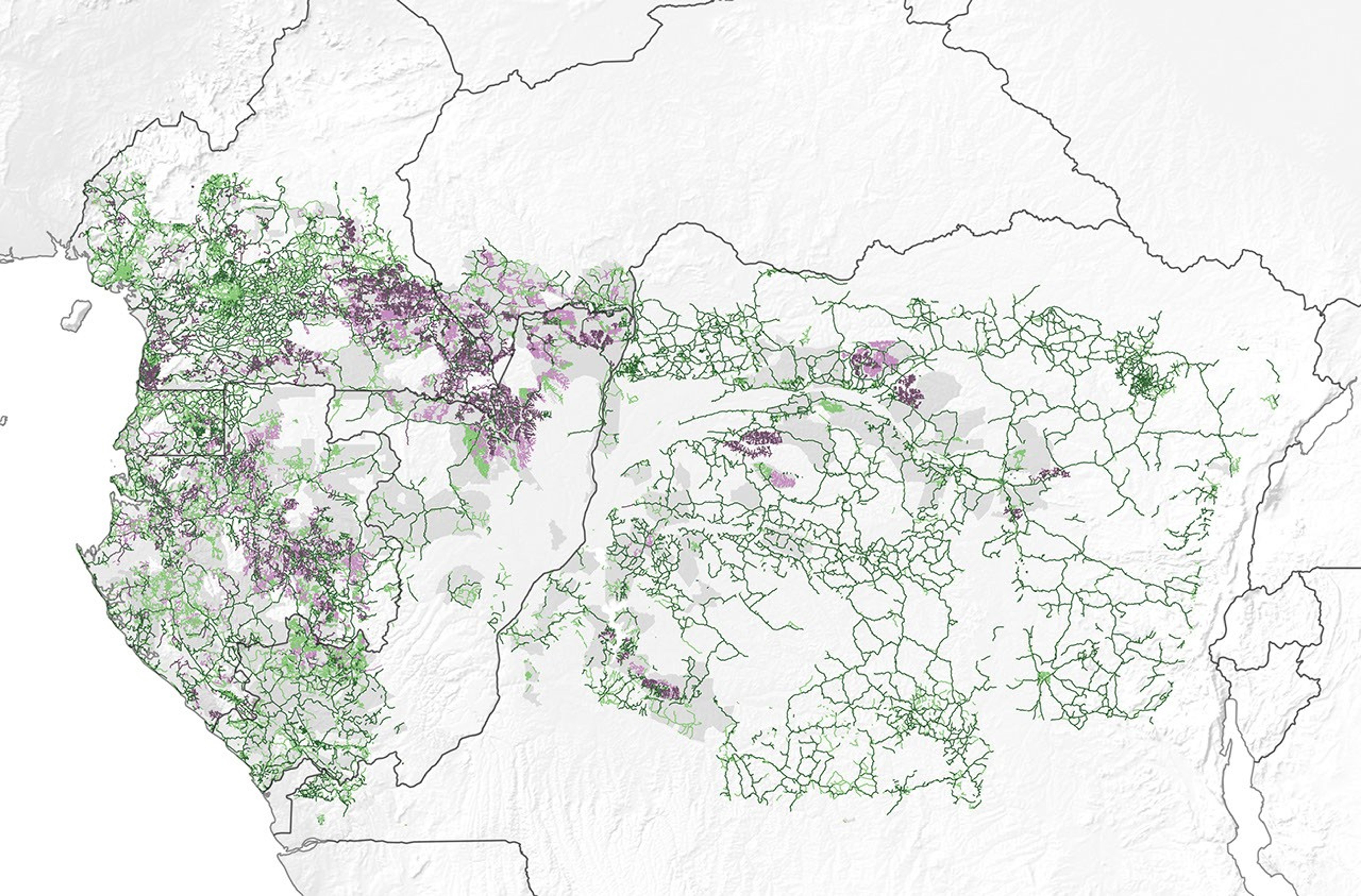 When a Road Leads to Deforestation