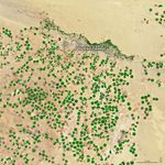 Desert Crops Thrive as the Aquifer Shrinks