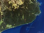 Thick Smoke Blankets Southeastern Australia