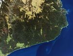 Thick Smoke Blankets Southeastern Australia