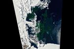 Bloom in McMurdo Sound