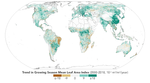 Global Green Up Slows Warming