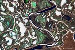 Rivers Are Getting Less Icy