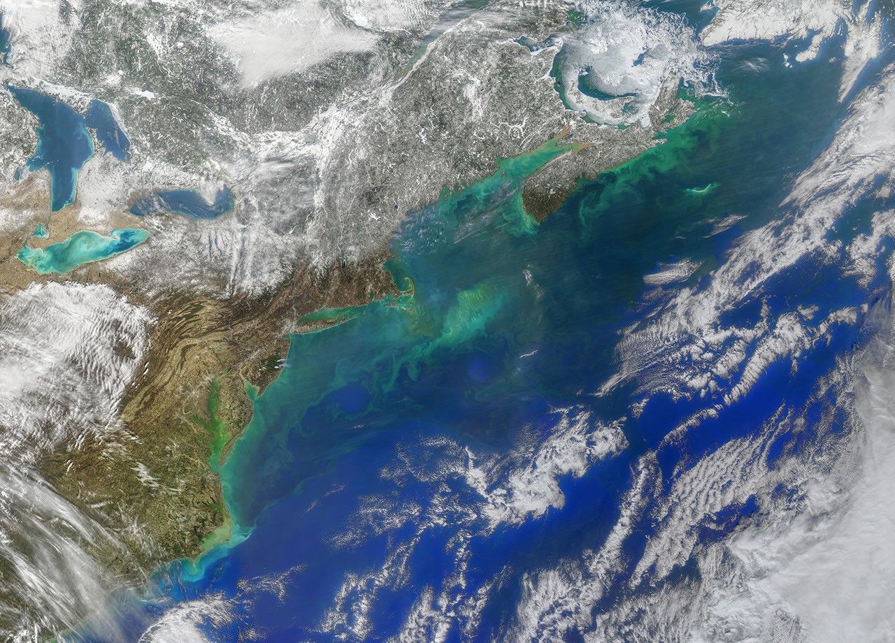 Hints of Spring in the Atlantic