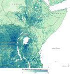 Could Satellites Help Head Off a Locust Invasion?