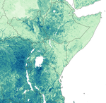 Could Satellites Help Head Off a Locust Invasion?