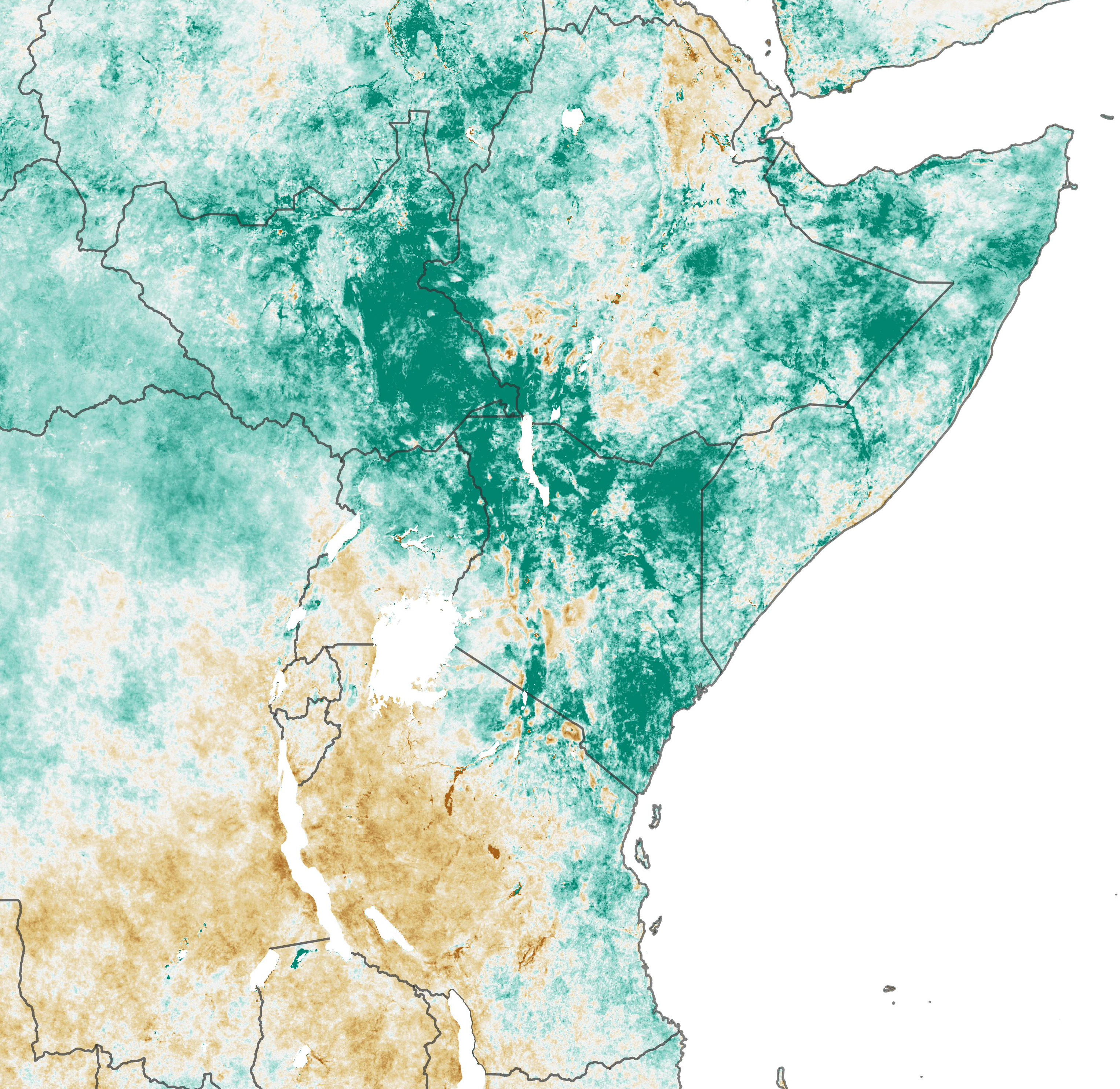 Could Satellites Help Head Off a Locust Invasion? - related image preview