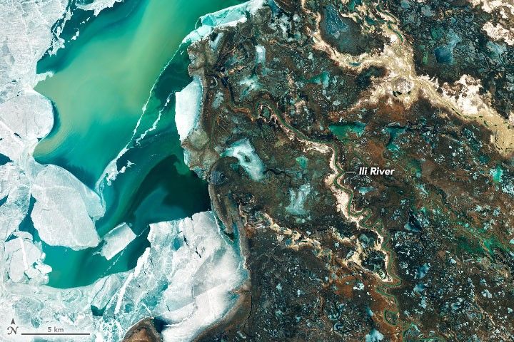 A Delta Oasis in Southeastern Kazakhstan