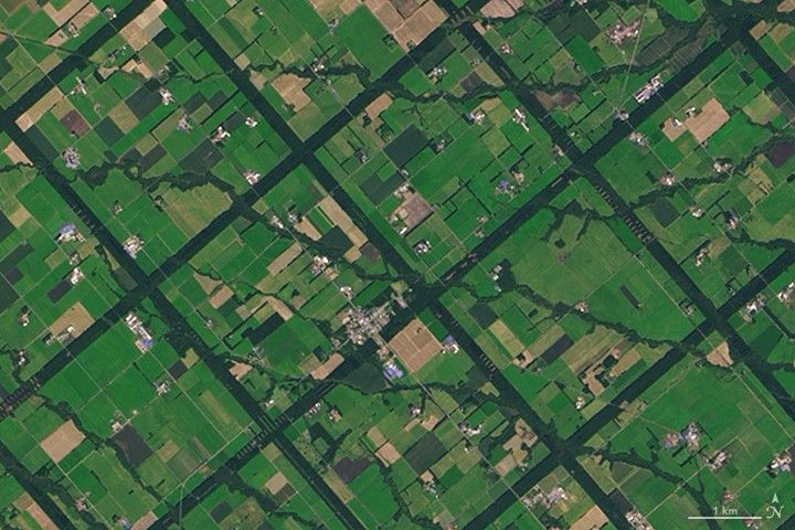 A Windbreak Grid in Hokkaido