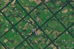 A Windbreak Grid in Hokkaido