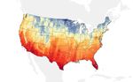 Temperatures Predict Bird Biodiversity