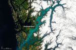 Norwegian Fjord Turns Turquoise