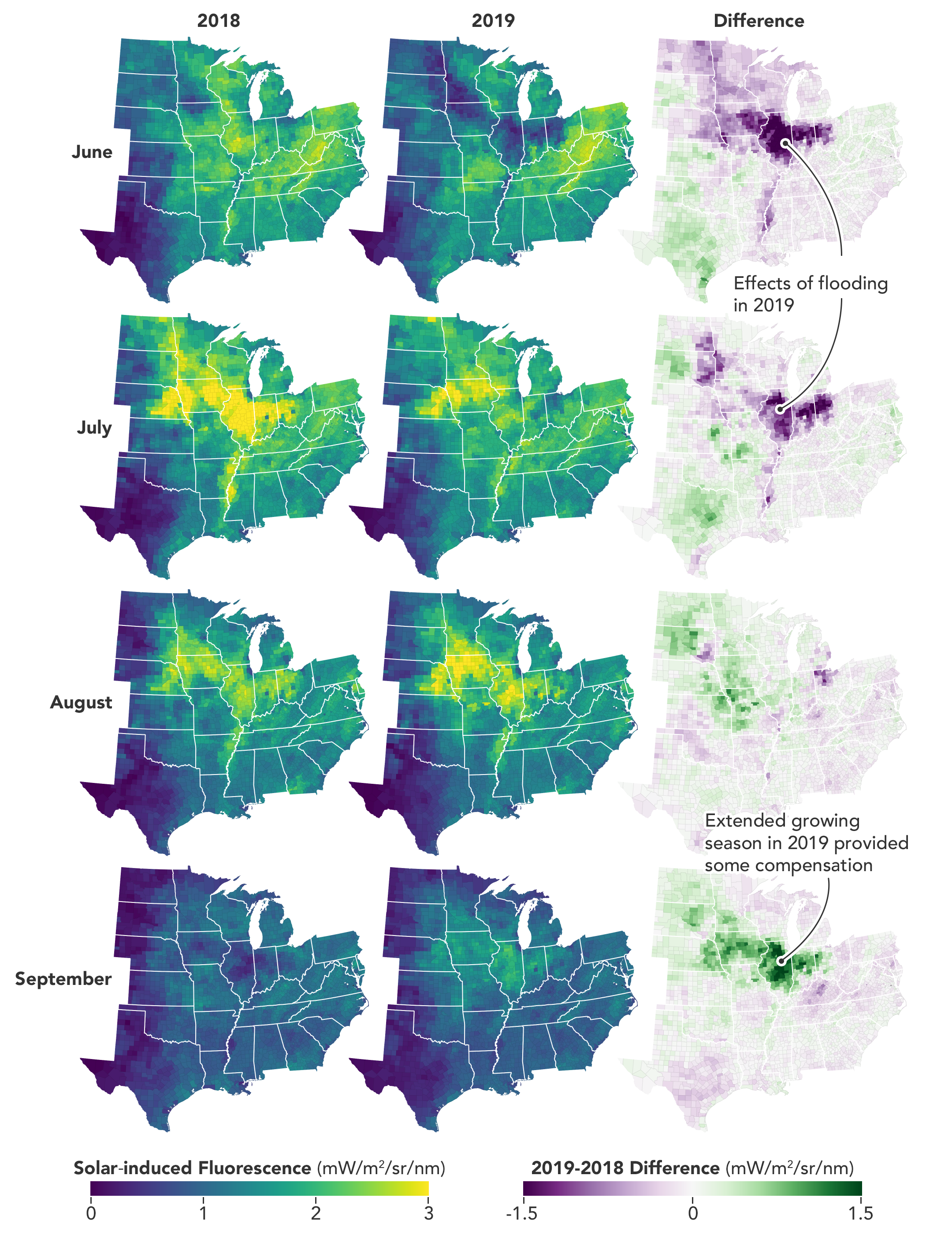 Faint Glow, Clear Signal from Plants