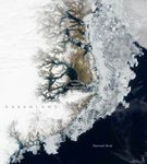 Sea Ice in Denmark Strait