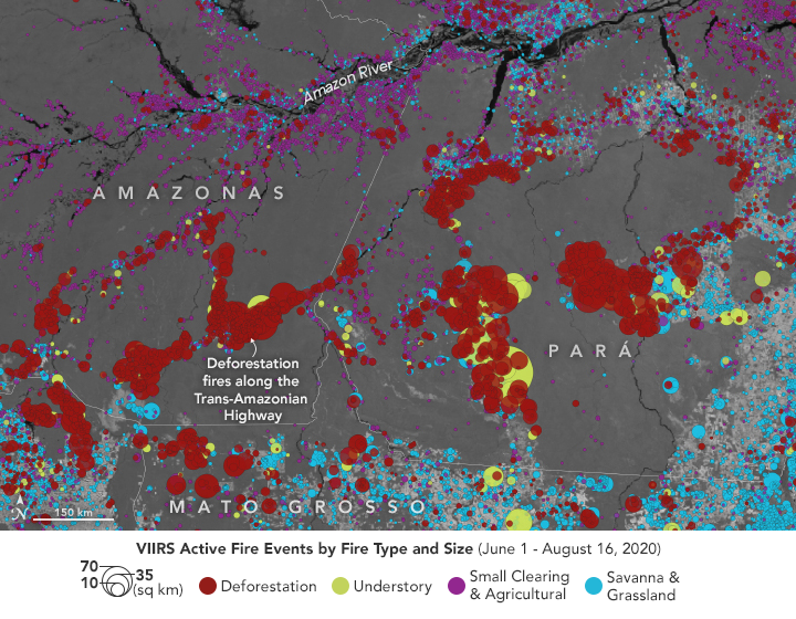 A New Tool for Tracking Amazon Fires