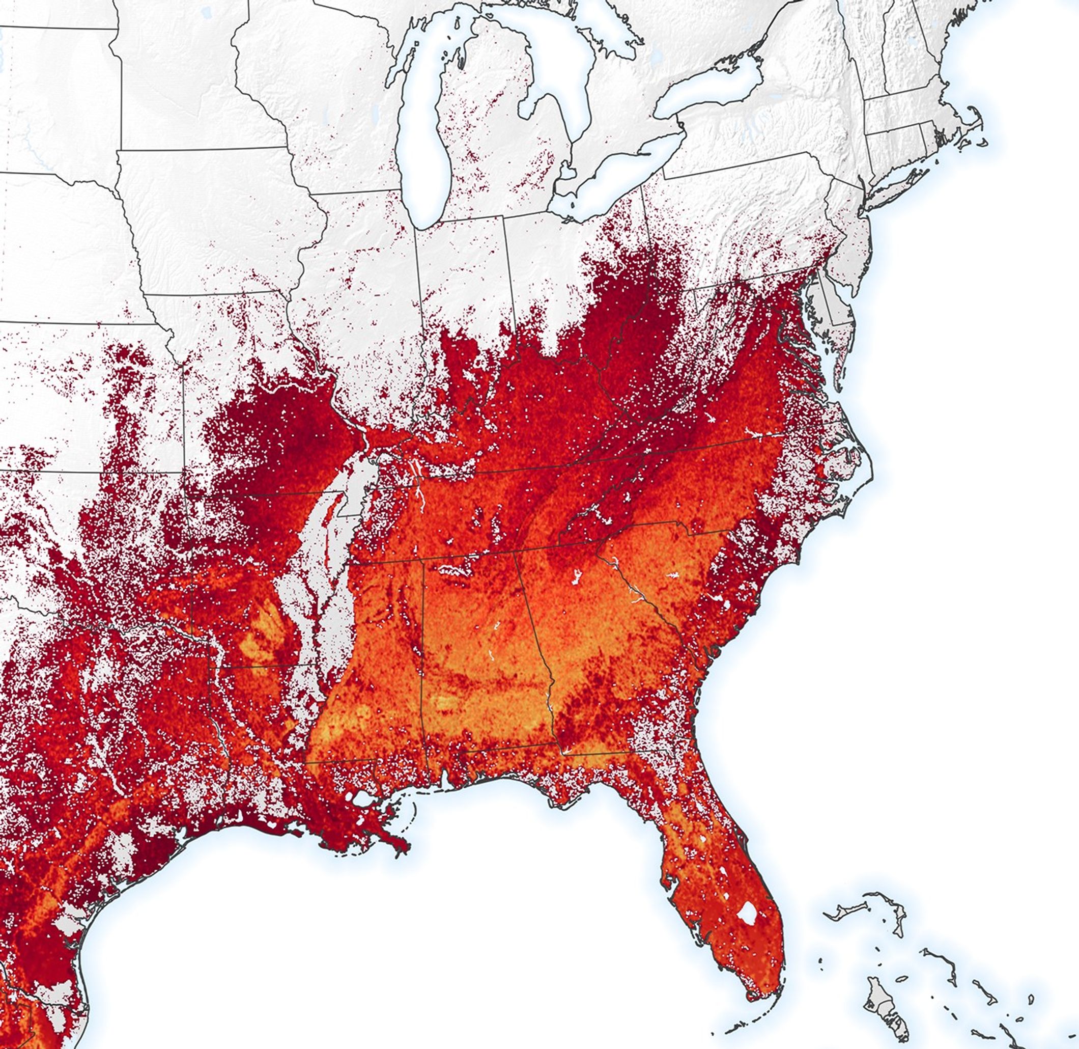 How Birds Respond to Extreme Weather