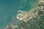A Sandy Flower in the Pacific