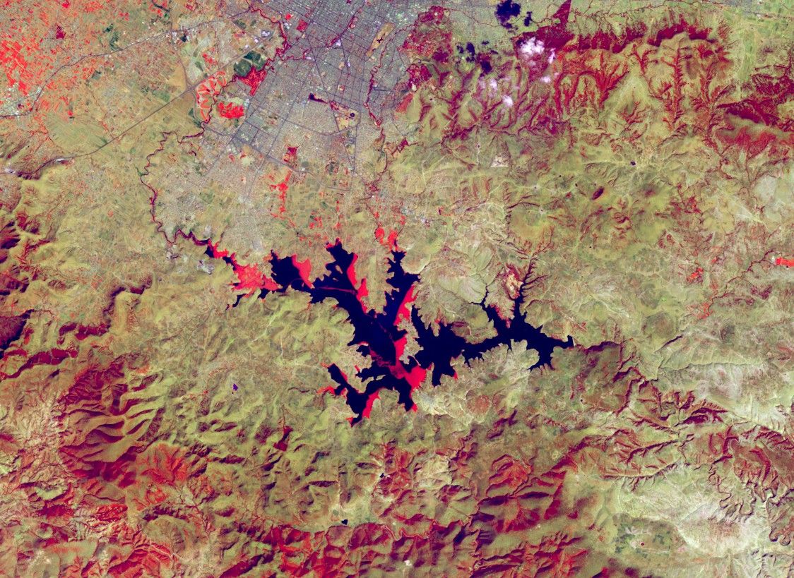 A Global Water Hyacinth Invasion
