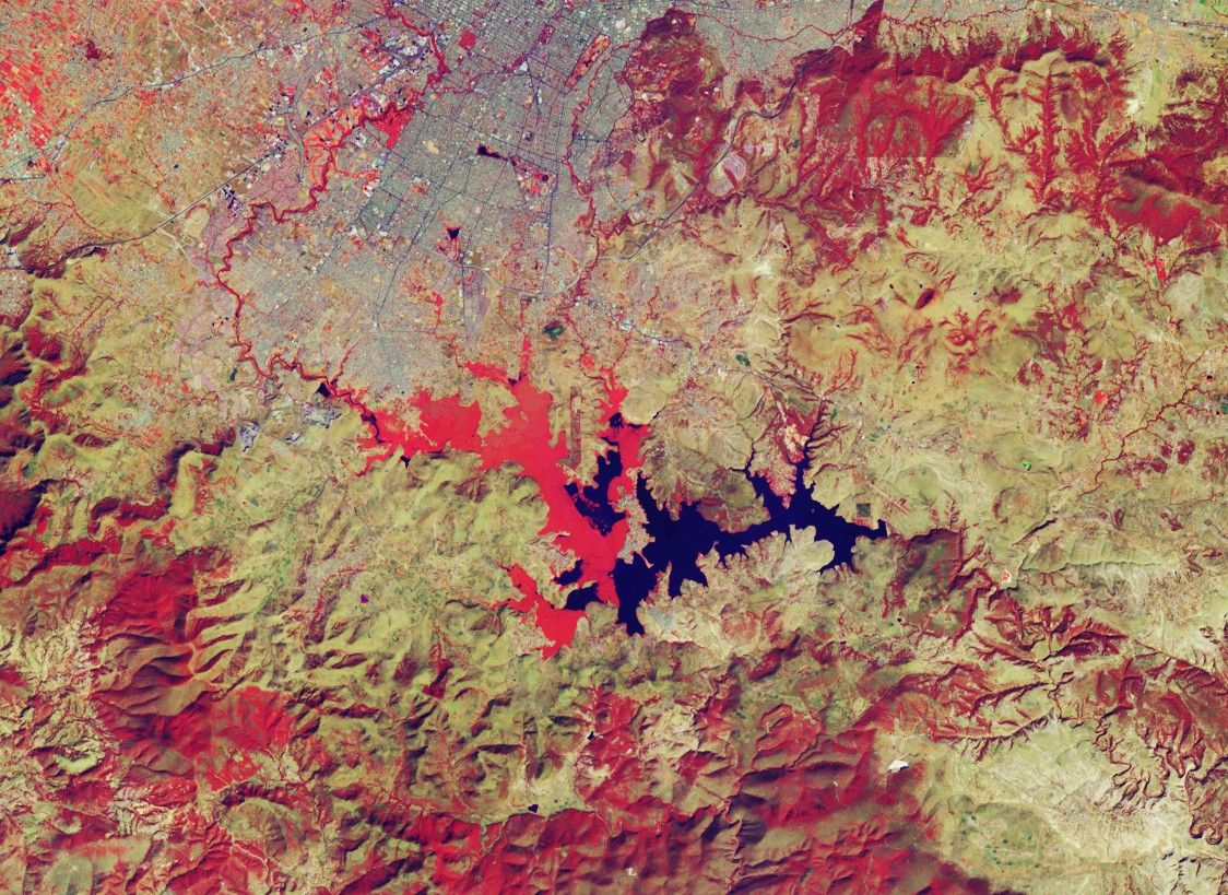 A Global Water Hyacinth Invasion