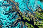 Where Ice Still Flows into Glacier Bay